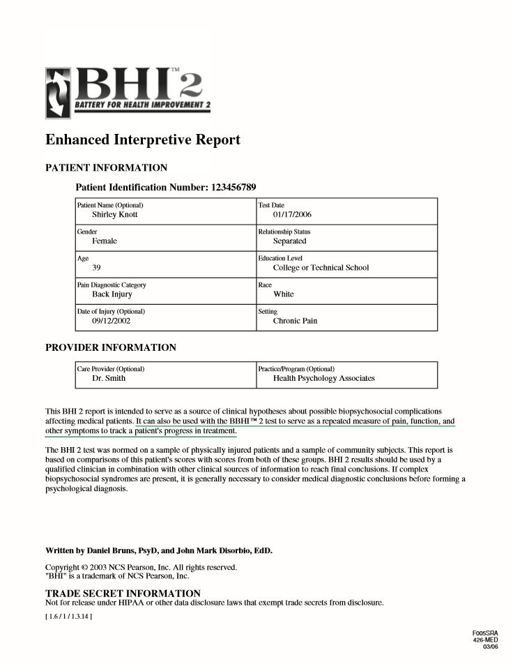 BHI-2 Report